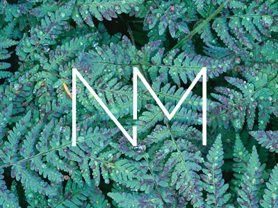 NM branding clean initials lines logo simple