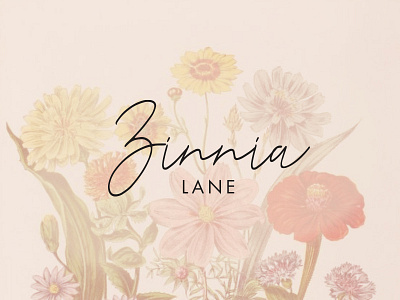 Zinnia Lane brand branding clean illustration logo simple