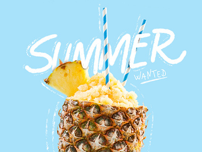 Summer Wanted design icon illustration typography vector