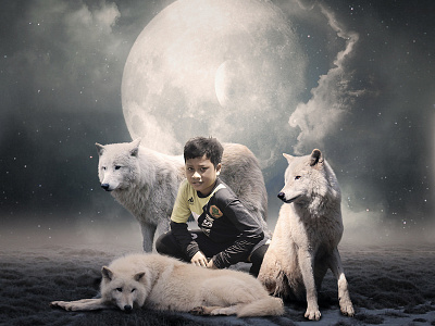 White Wolf Under The Moon graphic design illistration photo manipulation photoshop