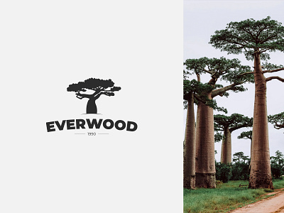 Everwood - logo baobab illustrator logo logo design logodesign logos logotype tree typography vector wood