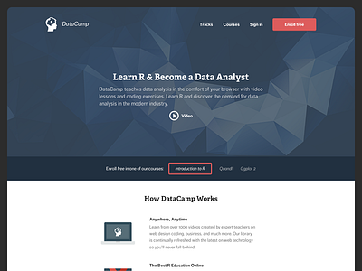 Datacamp - Homepage hero homepage landing page polygon