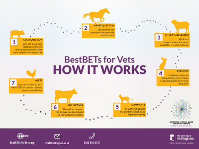 BestBETs for Vets - Infographic Design animals design flat graphic design illustration info graphic infographic infographic design layout poster stippling university vector veterinarian