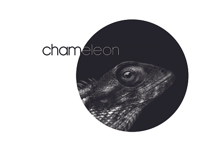 Chameleon