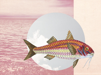 Flying Fish (Collage Challenge?)
