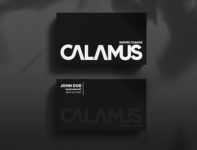 Calamus // Design Mockup brand brand design brand identity branding card clean design design flat graphic design illustration illustrator landscape logo logo design logotype minimal mockup moodboard typography vector