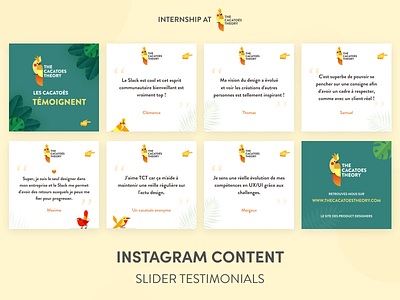 The Cacatoès Theory - Instagram : Slider testimonials cacatoes graphic design instagram instagram post linkedin slider tesmimonials