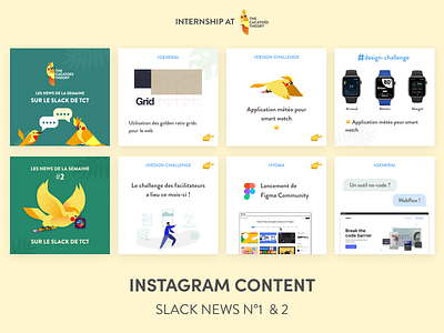 The Cacatoès Theory - Instagram : Slack News cacatoes illustration instagram instagram post news slack social media