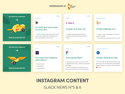 The Cacatoès Theory - Instagram : Slack News birds cacatoes figma instagram instagram post internship linkedin slack slider