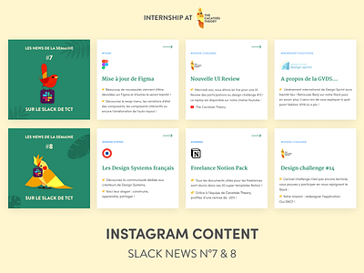 The Cacatoès Theory - Instagram : Slack News cacatoes insta instagram instagram post linkedin news slack slider socialmedia