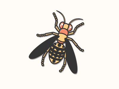 Wasp bee bug icon illustration wasp