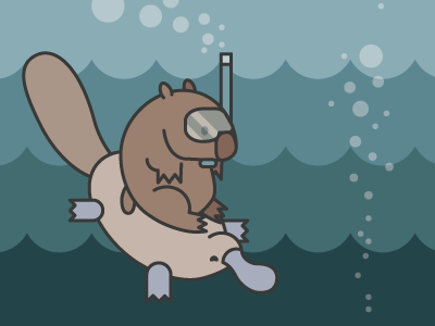 Wombat & Platypus