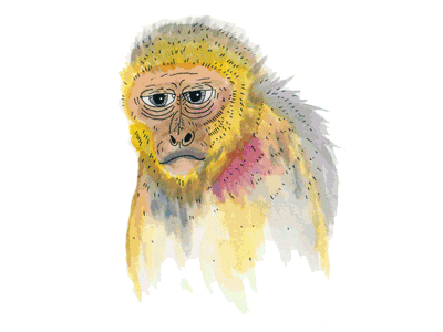 Drunk Monkeys animal color design drunk illustration monkey paint watercolor