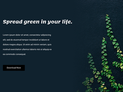 Soft Crop Color alignment design flat grid minimal typography ui ux web website