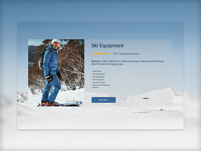 Ski equipment UI alignment design flat grid minimal typography ui ux web website