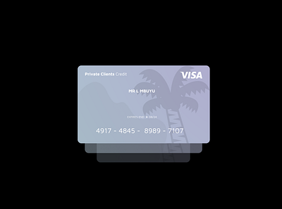 Credit Card bank bank card card credit credit card