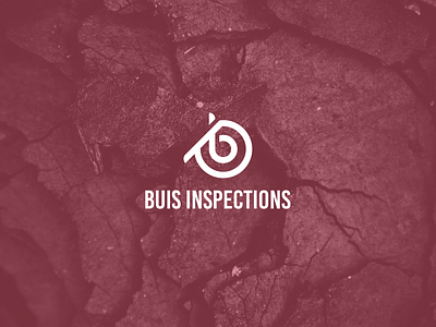 buis inspections branding design icon illustration logo logo design minimal typography vector