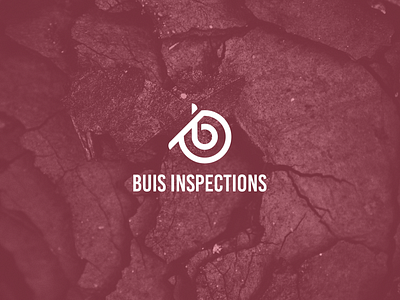 buis inspections