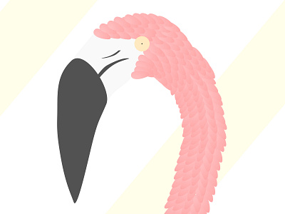 Flamingo design illustration sketch vector