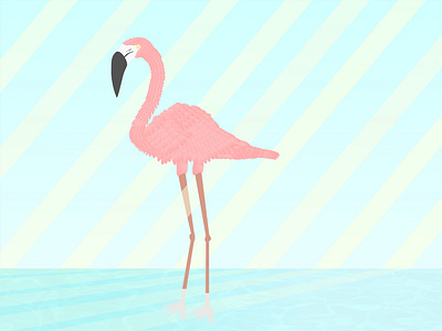 Flamingo Illustration