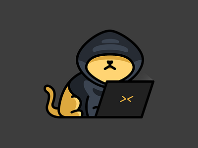 annonymeow cartoon cat character colorful cute design feminine hacker illustration inspiration laptop logo mascots playful youthful