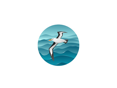 Albatross Bird albatross animal bird flight fly illustration inspiration sea vector