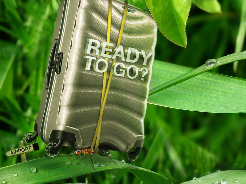 Ready to GO!? ant digital art digital photoshop photomanipulation samsonite trolley darts davide tarsi davide tarsi