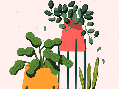 Plants Illustration Practice botanical digital illustration plant lover plants procreate