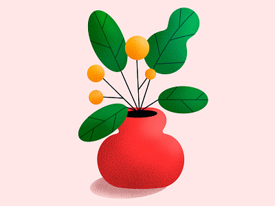 Abstract Plant botanical design digital illustration plants procreate