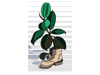 ficus in the original pot flat illustration plant rapport vector