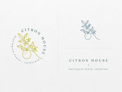 Citron House Branding apartments brand design brand identity branding design illustration logo oranges