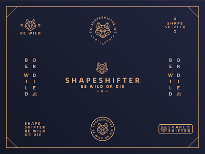 Shapeshipter