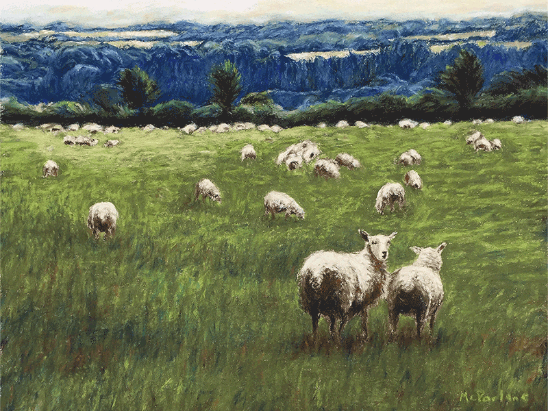 Sheep Animated my original art pastel photoshop animation