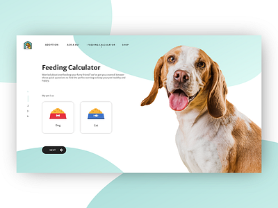 Feeding Calculator adobe xd design pets ui webdesign