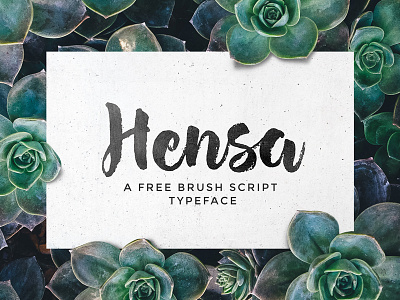 Hensa - Free Brush Script Typeface brush brush font font free freebie hand lettering lettering script font typeface