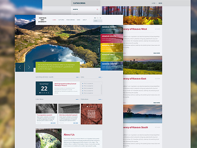 Heritage and Diversity Programme Website cultural ui ux web design