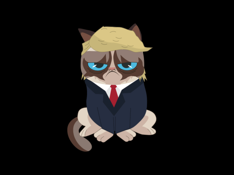 Trumpy Cat america animation cat debate election funny gif grumpy president trump usa wlebovics