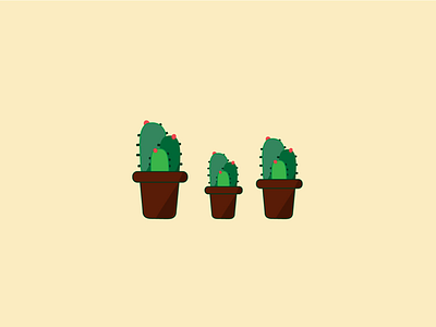 Illustration - Cactus illustration