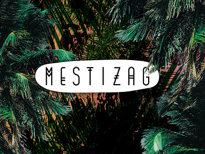 Mestizag brand brand and identity collage cuba dj djcubanos dribbble graphic art graphic design graphic design brand identidad identidade visual marca mestizag