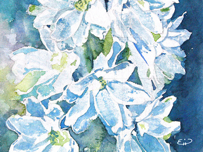 Delphinium Sketch 2 art blue delphiniums floral flowers lost in reverie painting watercolor