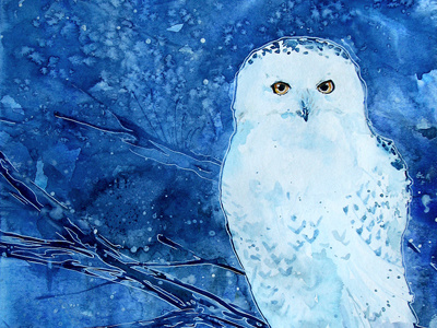 Snowy Owl art blue lost in reverie painting snowy owl watercolor