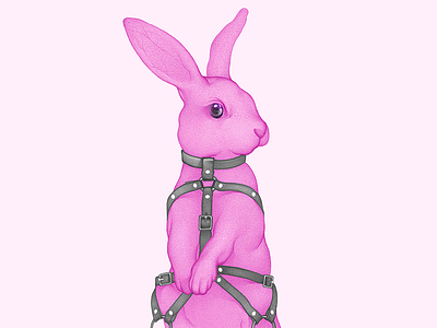 BDSM Rabbit