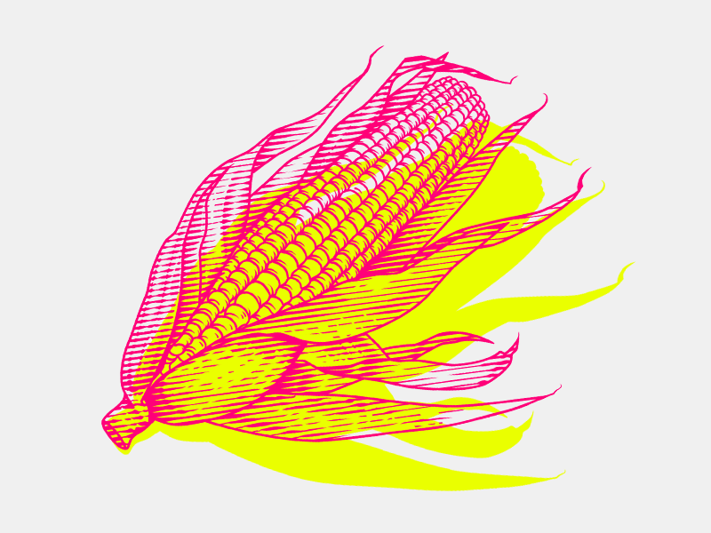 Corn