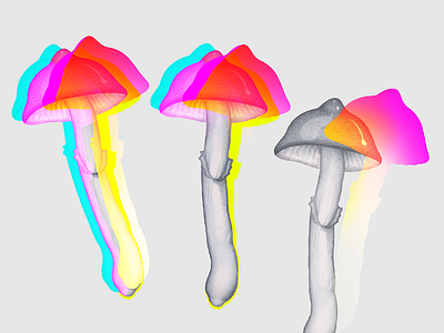 Psilocybins amanita art food illustration insane mad multiply mushroom mushrooms pencil psilocybin realistic