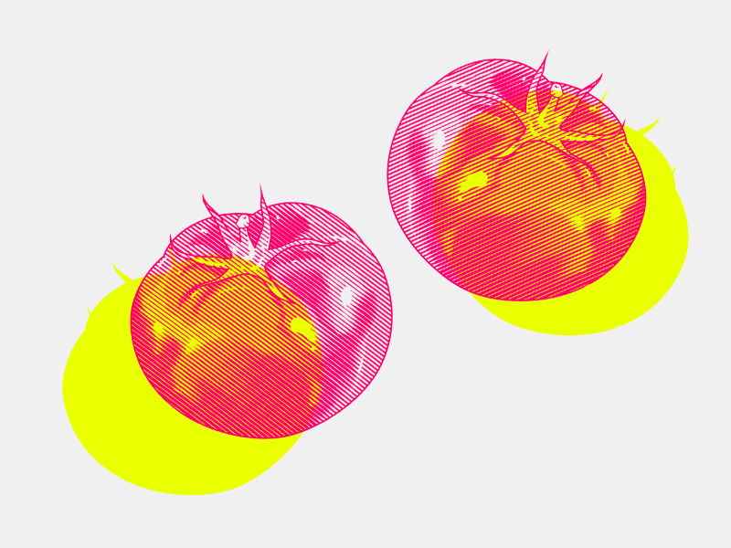 Tomato