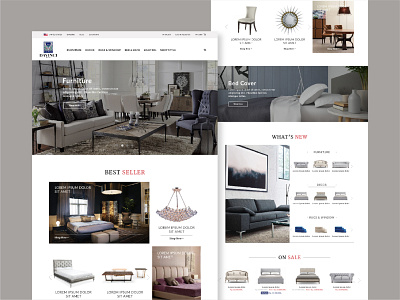 Da Vinci Webiste furniture graphic design ui ui design website