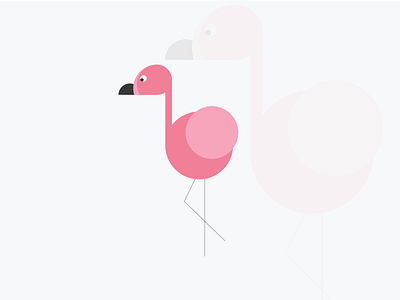 Flamingo illustration