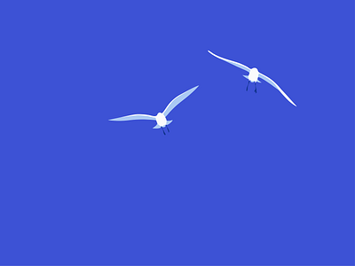 Birds Illustration bird birds blue design flat flying graphic design illustration illustrator minimal vector