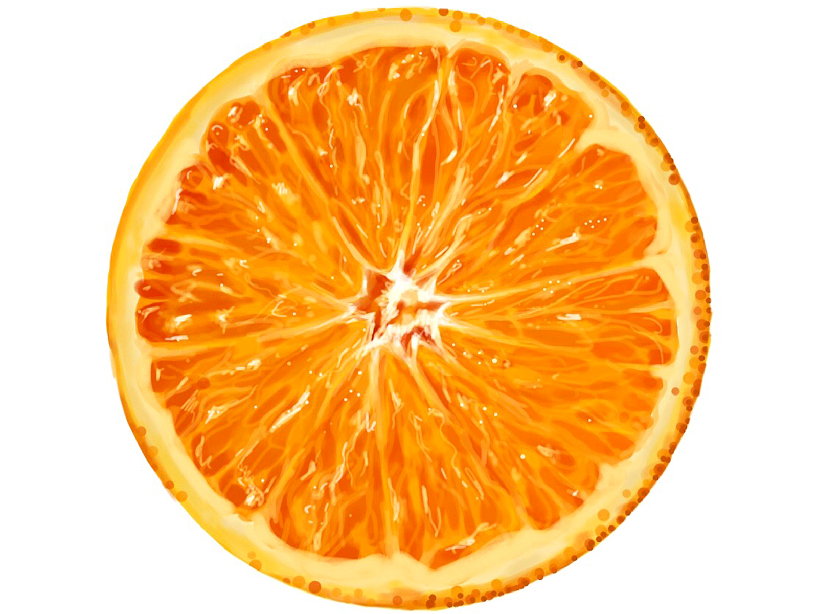 Orange slice by Abinaya Selvanathan on Dribbble
