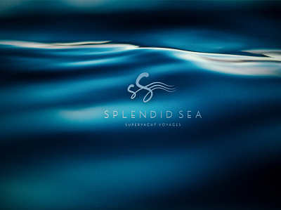 Splendid Sea – Key Visual graphic design web design